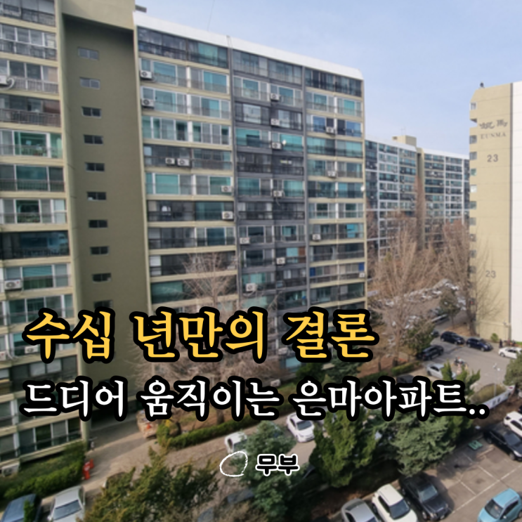  수십 년 멈춰있던 은마, 드디어 재건축 시작.. 시장 충격 불가피
