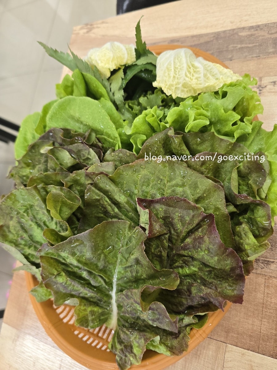 빵야대가 사진 4