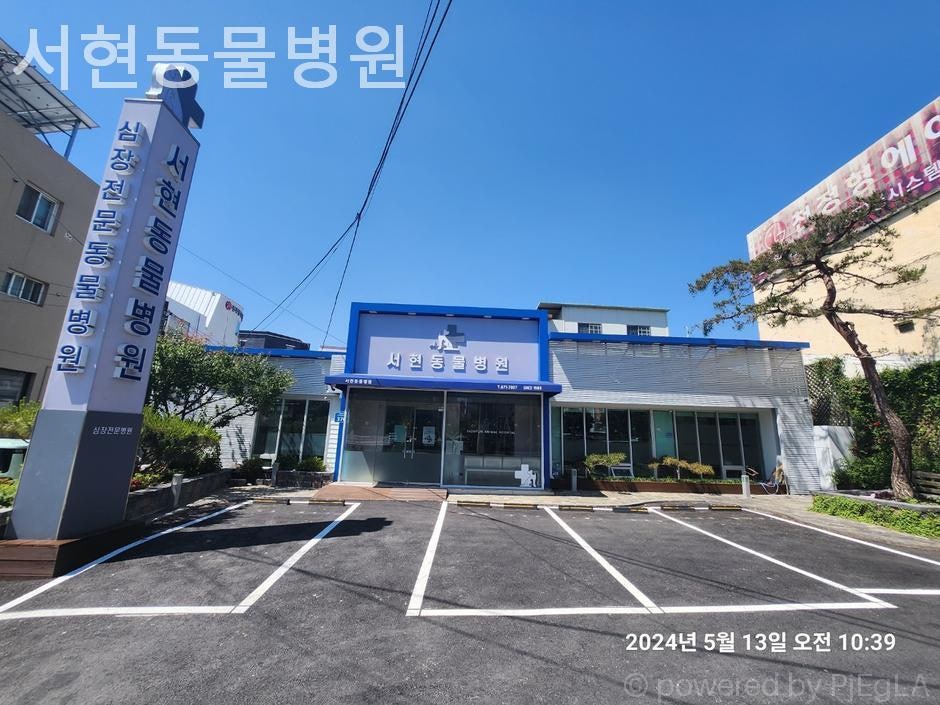 서현동물병원 사진 1