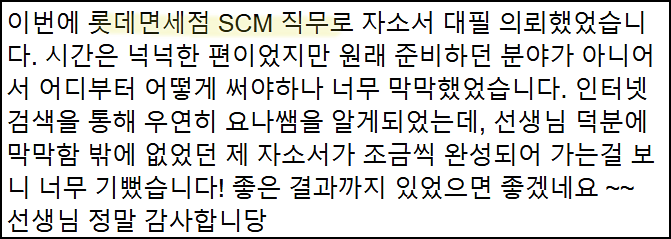  롯데 자소서 첨삭 대필 후기