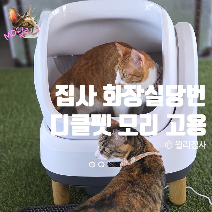  고양이자동화장실 대형 디클펫 모리 추천