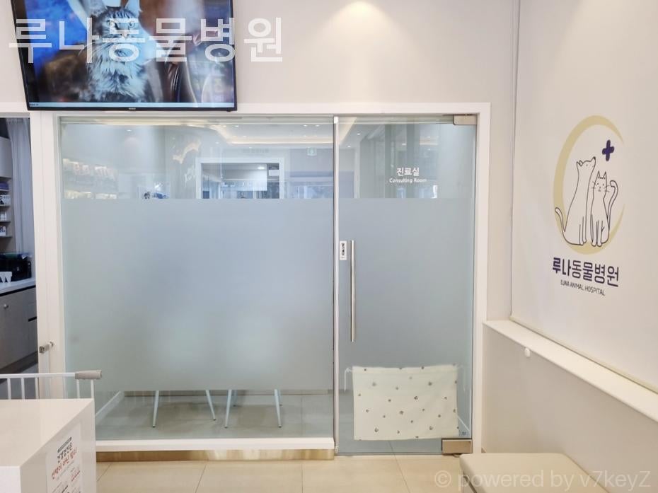 루나동물병원 사진 5
