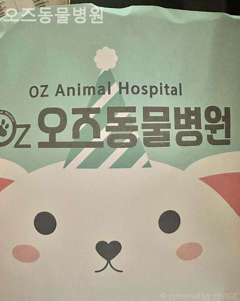 오즈동물병원 사진 4