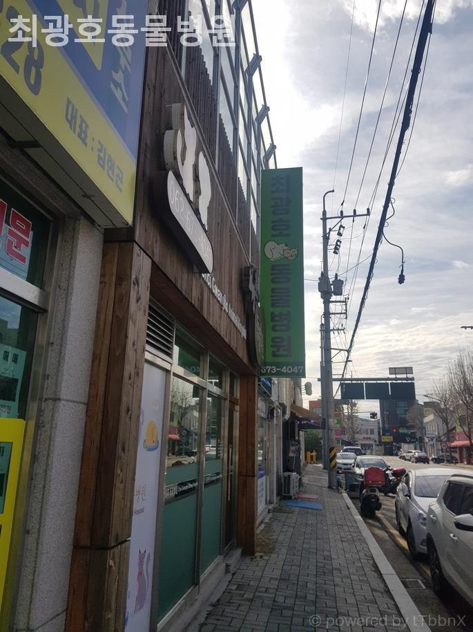 최광호동물병원 사진 2