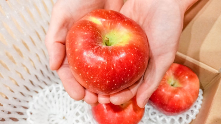  홍로꿀사과, '맛 없으면 무료 반품'이라는 자신감, 과연 그 맛은?