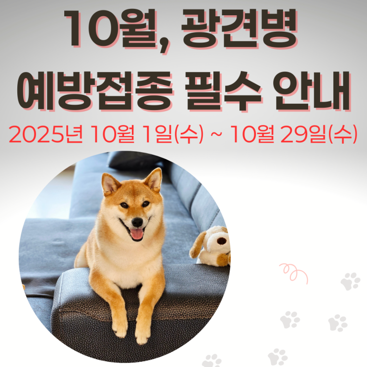  2025 추계 광견병 예방접종 | 연수구 지정 병원 및 비용 안내