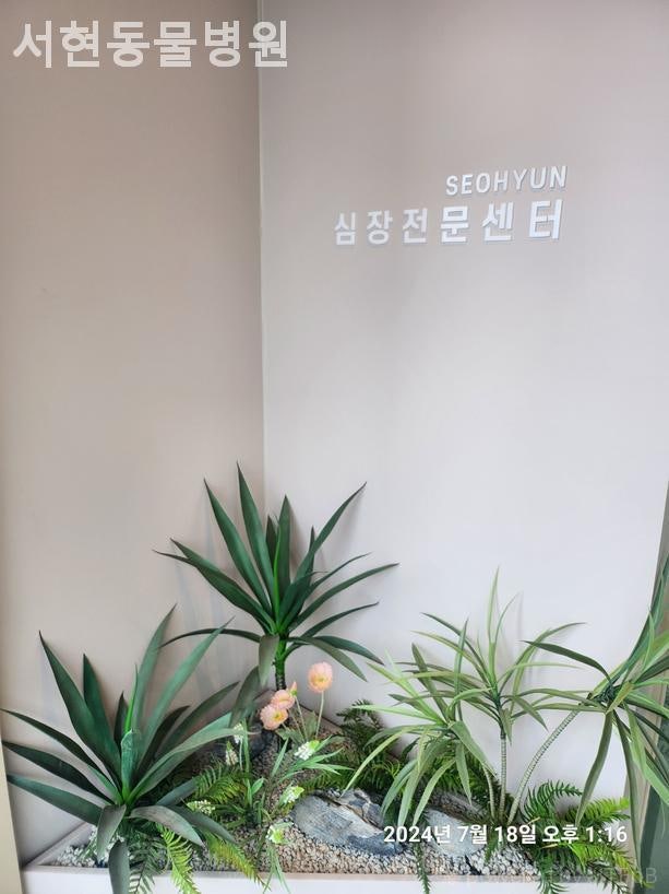 서현동물병원 사진 3