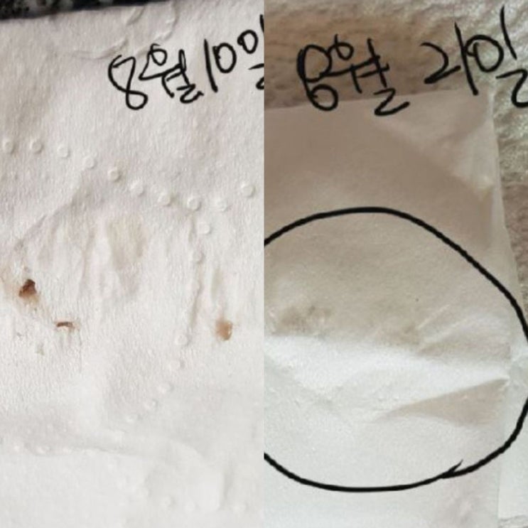  강아지 눈밑 다래끼 증상은? 치료 방법 안약 vs 수술