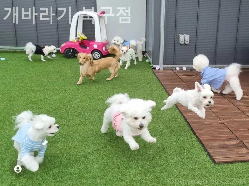 사진 3
