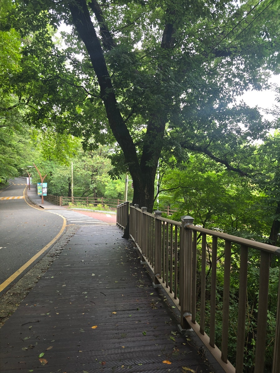 더벤티 보문산점 사진 1