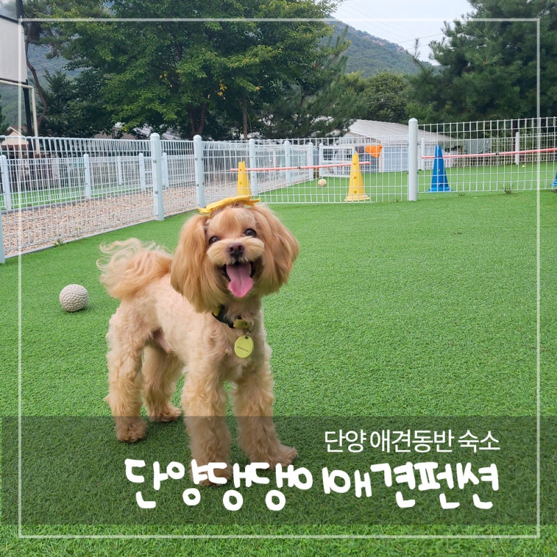 사진 5
