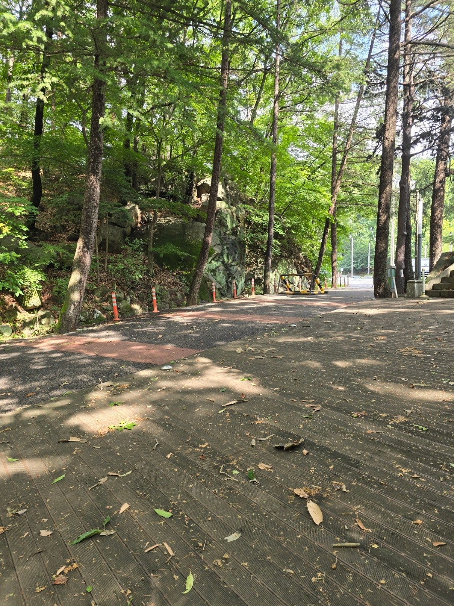 더벤티 보문산점 사진 2