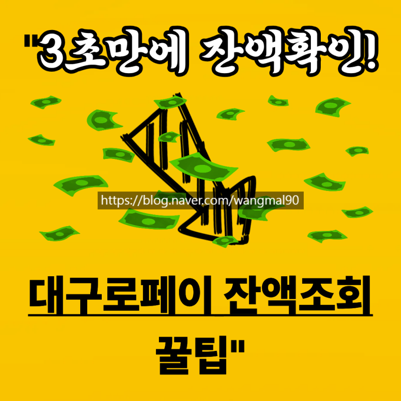 2025 대구로페이카드 완벽가이드 - 대구로페이사용처 잔액조회 꿀팁