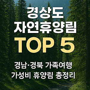 경상도 자연휴양림 TOP5 추천  경남·경북 가족여행 가성비 휴양림 총정리