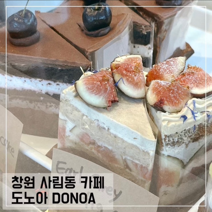  창원 사림동 케이크 카페 도노아 DONOA