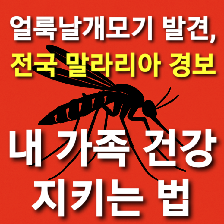  얼룩날개모기 발견, 전국 말라리아 경보, 내 가족 건강 지키는 법