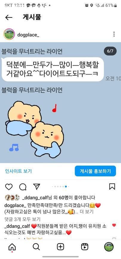도그플레이스 사진 4