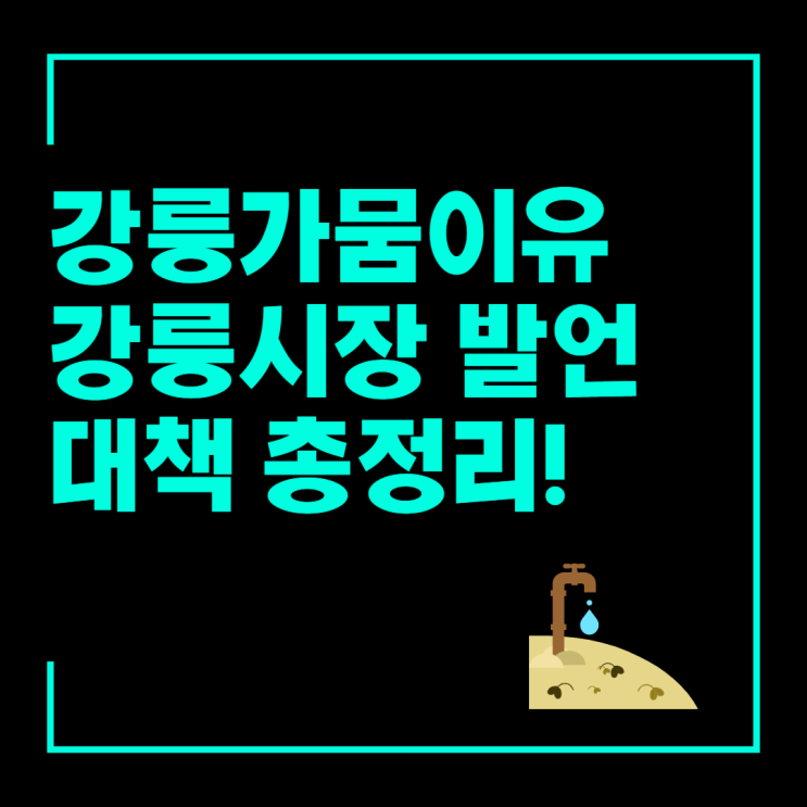 <b>강릉 가뭄</b> 이유 김홍규 <b>강릉</b>시장 발언 및 <b>대책</b>까지 총정리!