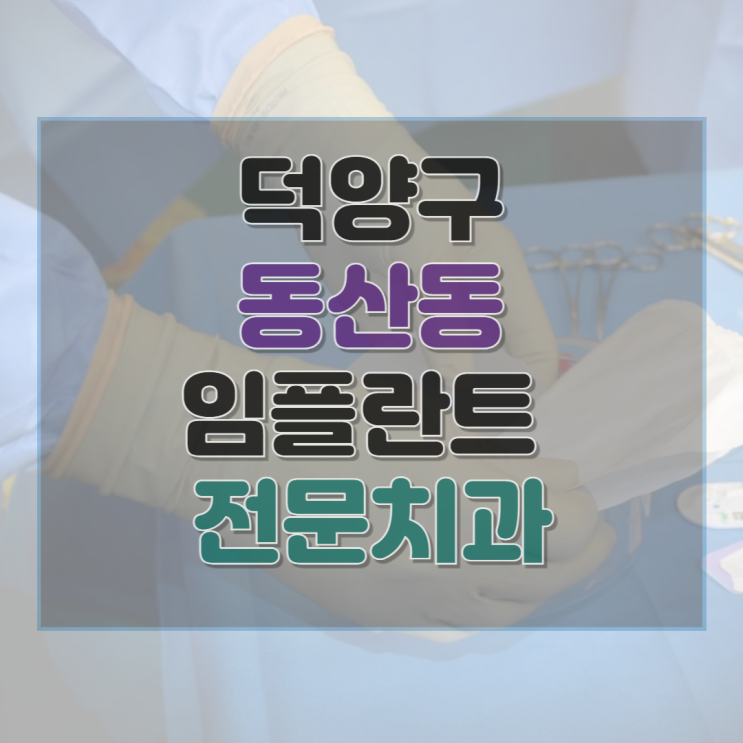  고양시 동산동 치과 임플란트 비용 가격 후기 잘하는 병원 2곳 총정리