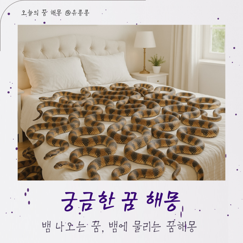 뱀 많이 나오는 꿈 해몽 뱀에 물리는 꿈