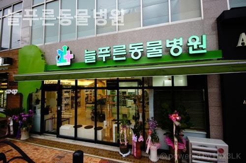 늘푸른동물병원 사진 2