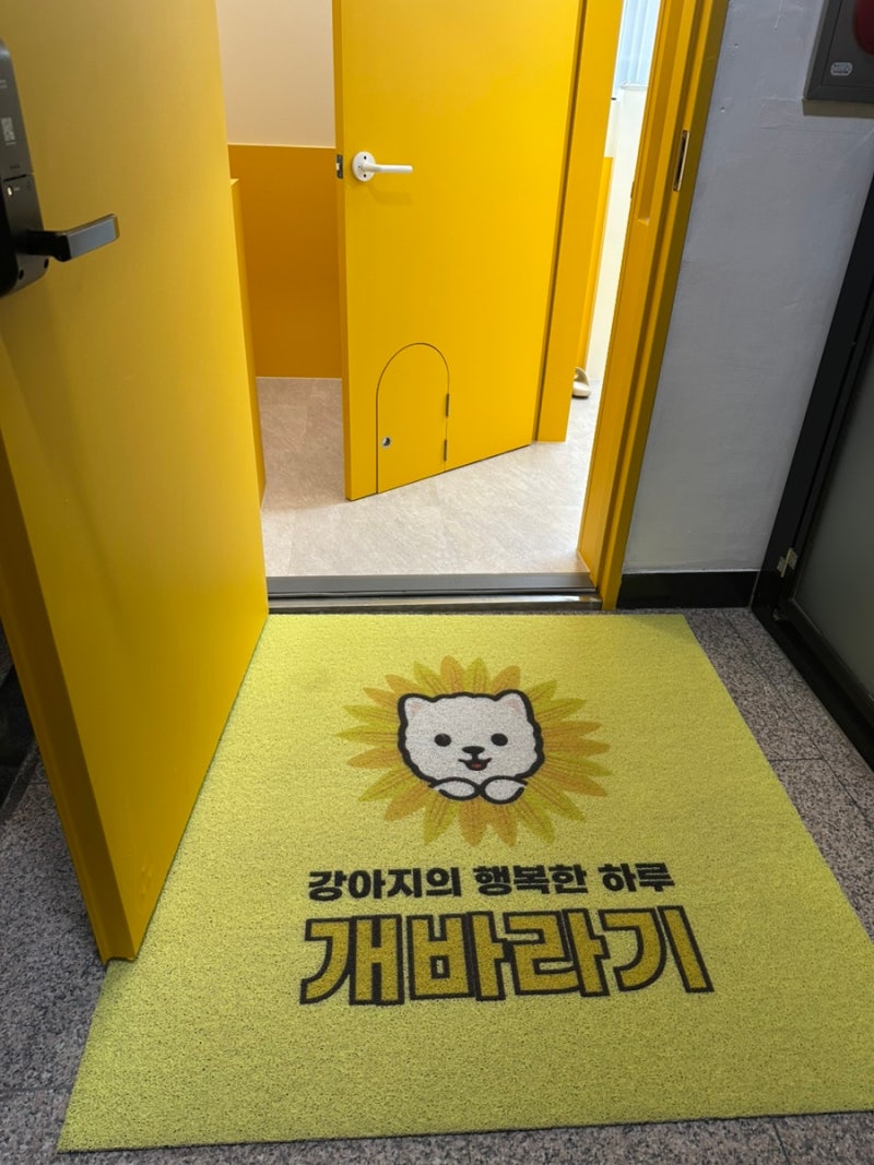 사진 5