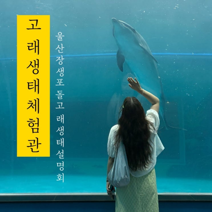  [ 고래 생태 체험관 ] 울산 장생포 실제 돌고래를 볼수있는 체험관