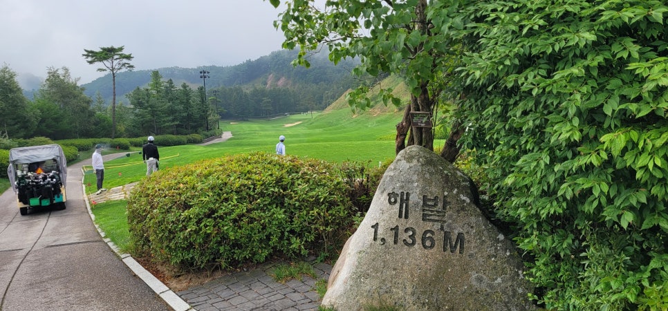 정선507미술관 사진 2