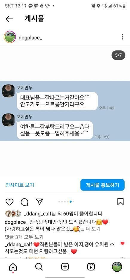 도그플레이스 사진 3