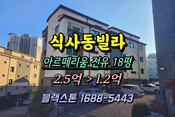  식사동빌라 경매 아르떼리움 반값 [2024타경8269]