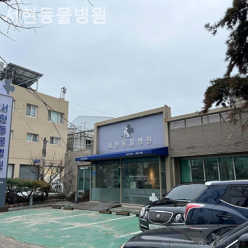 서현동물병원 사진 6