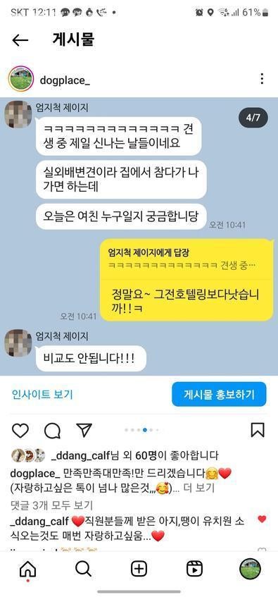 도그플레이스 사진 2