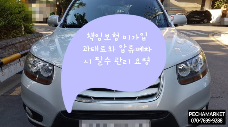  책임보험 미가입 과태료와 압류폐차 시 필수 관리 요령
