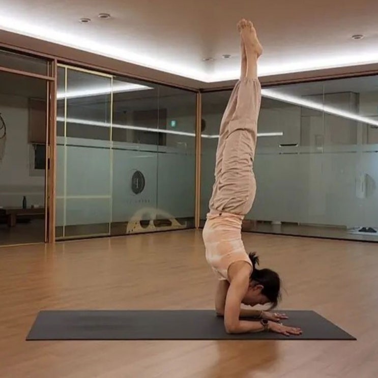 <b>유재석</b>이 축하한 <b>이효리 요가원</b> 개원 소식