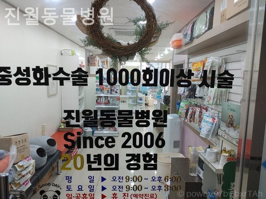 진월동물병원 사진 1