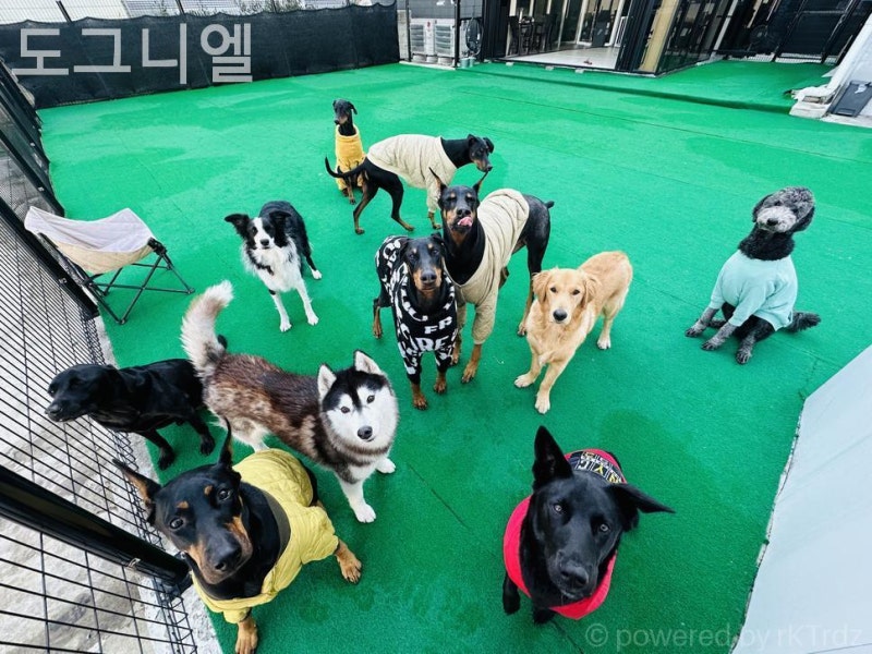 사진 4