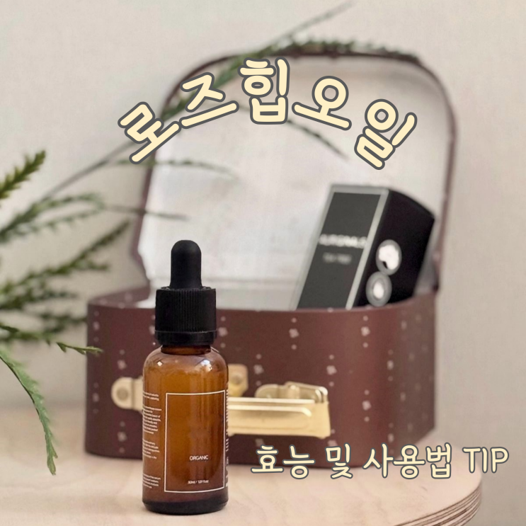  로즈힙 오일 효능, 의미와 사용법까지!