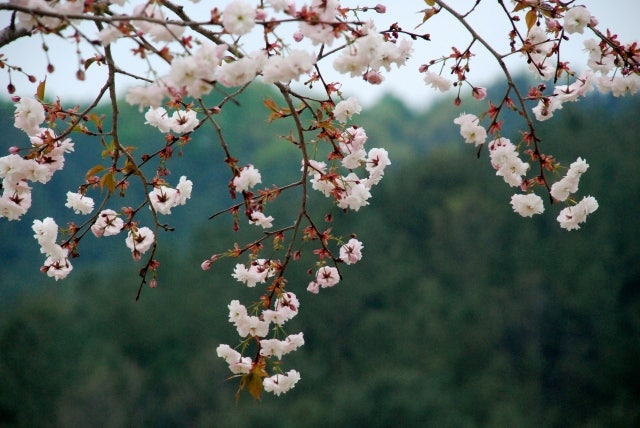 사진 3