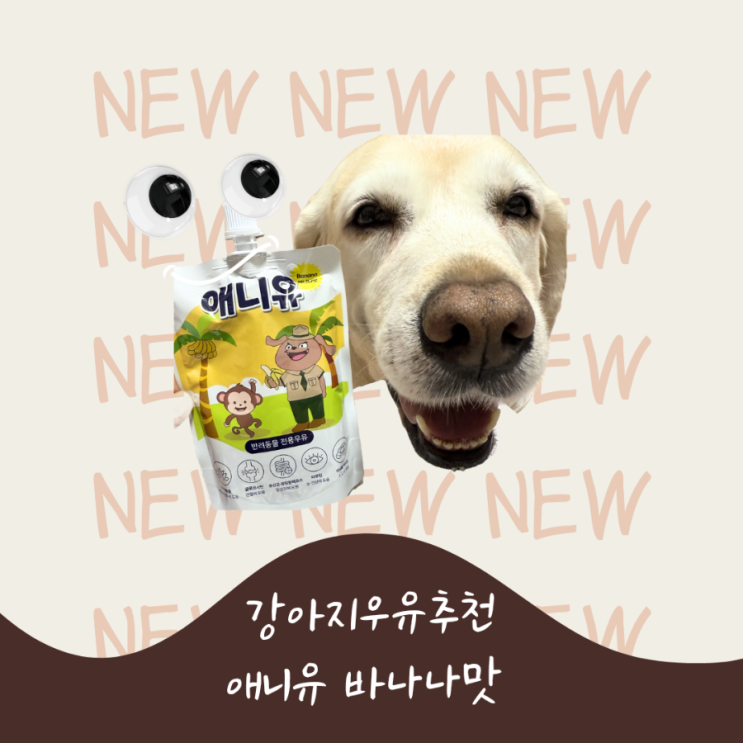  강아지우유추천 펫밀크 락토프리 애니유 바나나맛
