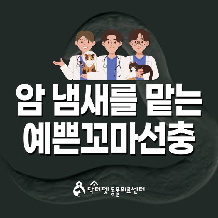  암 세포 냄새를 맡는 예쁜꼬마선충 부산 건강검진 동물병원
