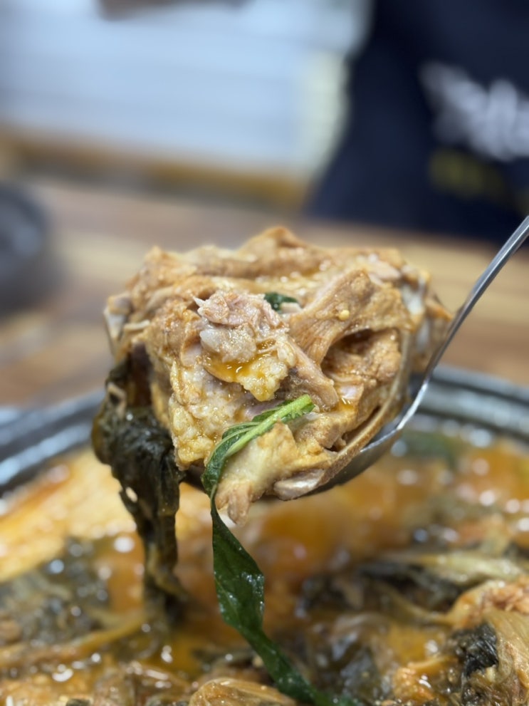  포항 남구 대도동맛집 터미널 근처 식당 포항감자탕