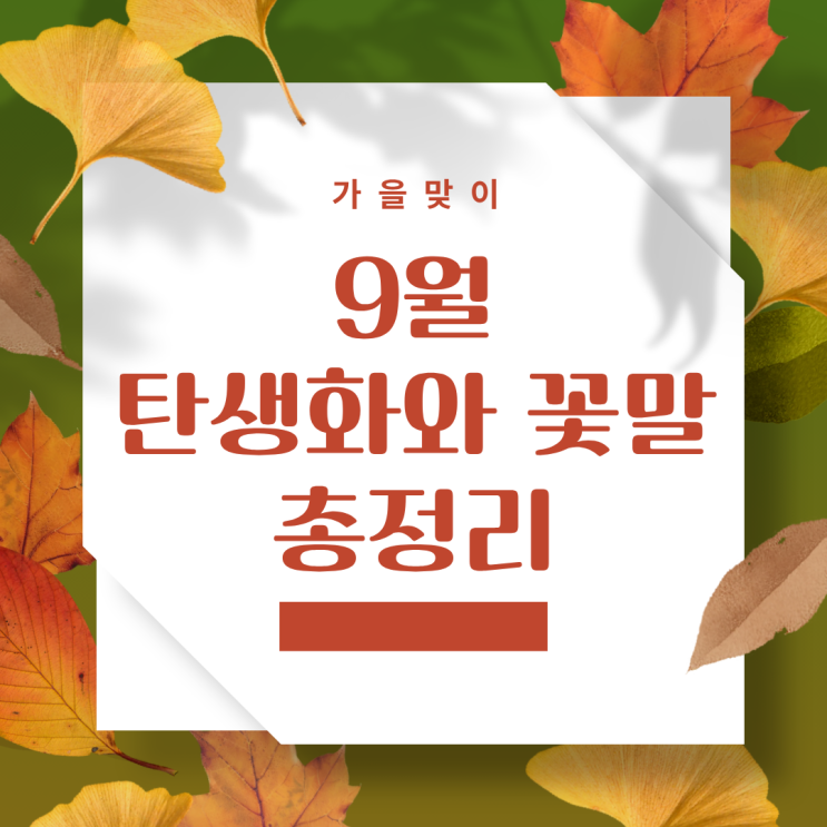  9월 탄생화 꽃말 완벽 총정리 1일부터 30일까지