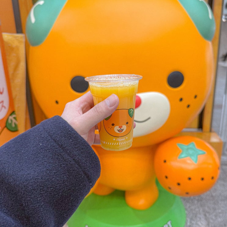  일본 마쓰야마 공항 면세점 쇼핑 미깡 기념품