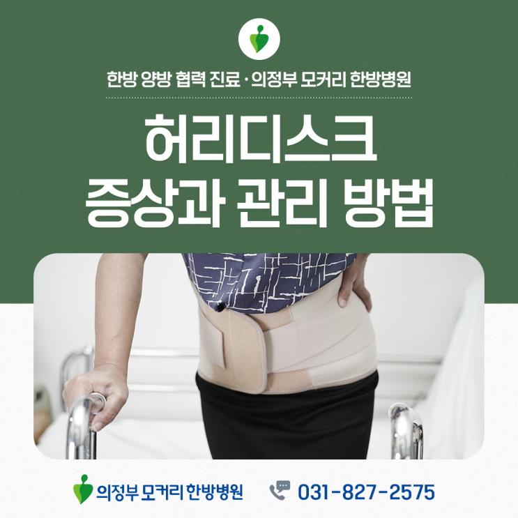 금오동 허리디스크, 원인부터 생활 관리까지