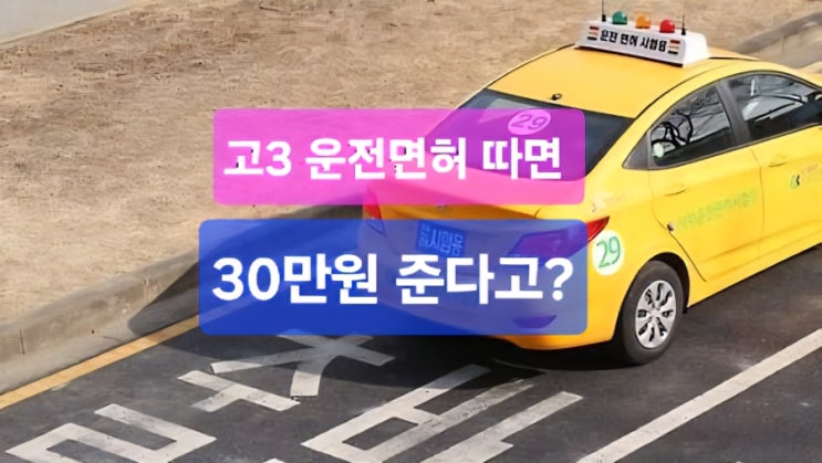  “고3에 운전면허 30만원 지원? 세금 낭비 논란 이유는?”