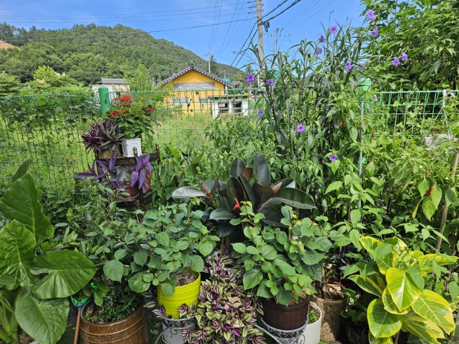 안동갈비국밥 양평광탄리점 사진 3