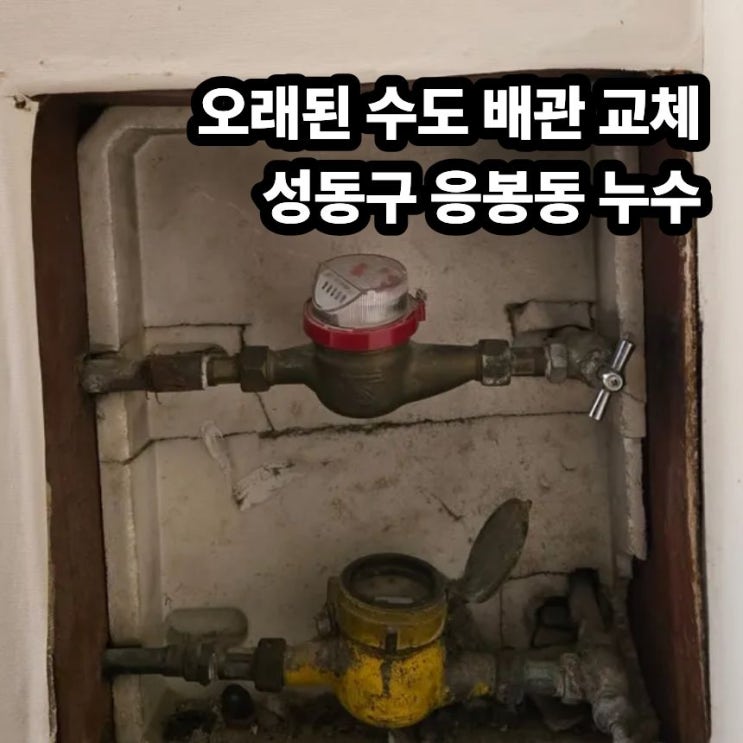 성동구 응봉동 누수탐지 오래된 수도배관 교체로 해결