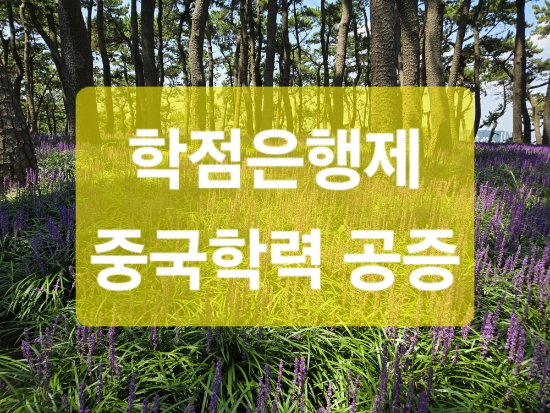  중국 졸업증, 학위증, 성적서 번역공증 - 학점은행제 등록
