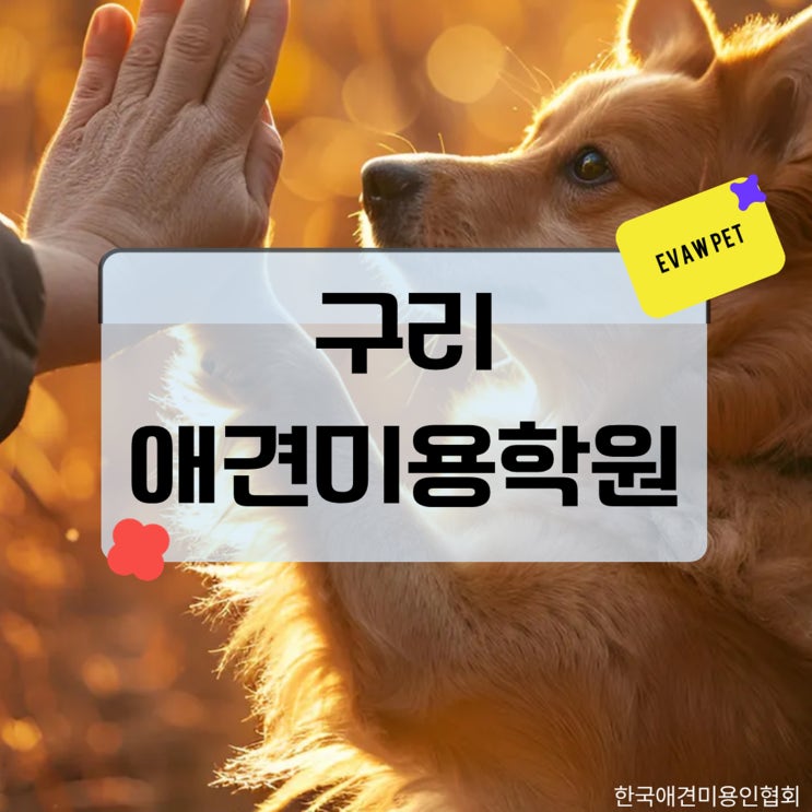  구리애견미용학원 전문가 분석, 체계적 교육과 전문 인력 양성의 중심지