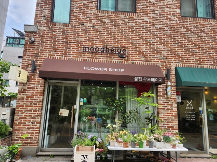  용인 어닝설치비용 접이식 고정식 제작부터 천갈이 가격 비교